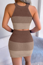 Colorblock Knit Cropped Top & Skirt Set