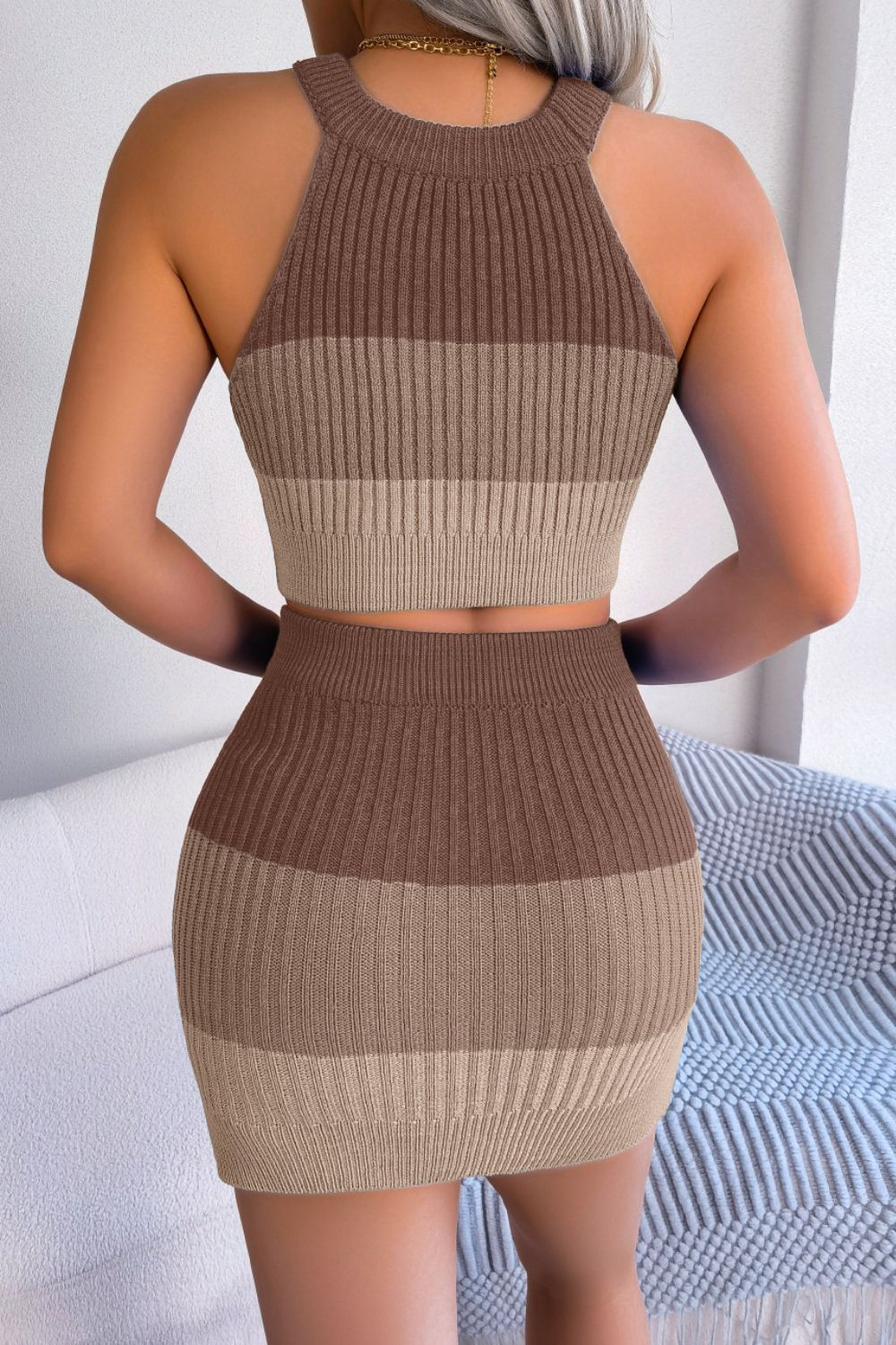 Colorblock Knit Cropped Top & Skirt Set