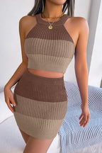 Colorblock Knit Cropped Top & Skirt Set