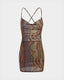 Printed Mesh Sleeveless Dress
