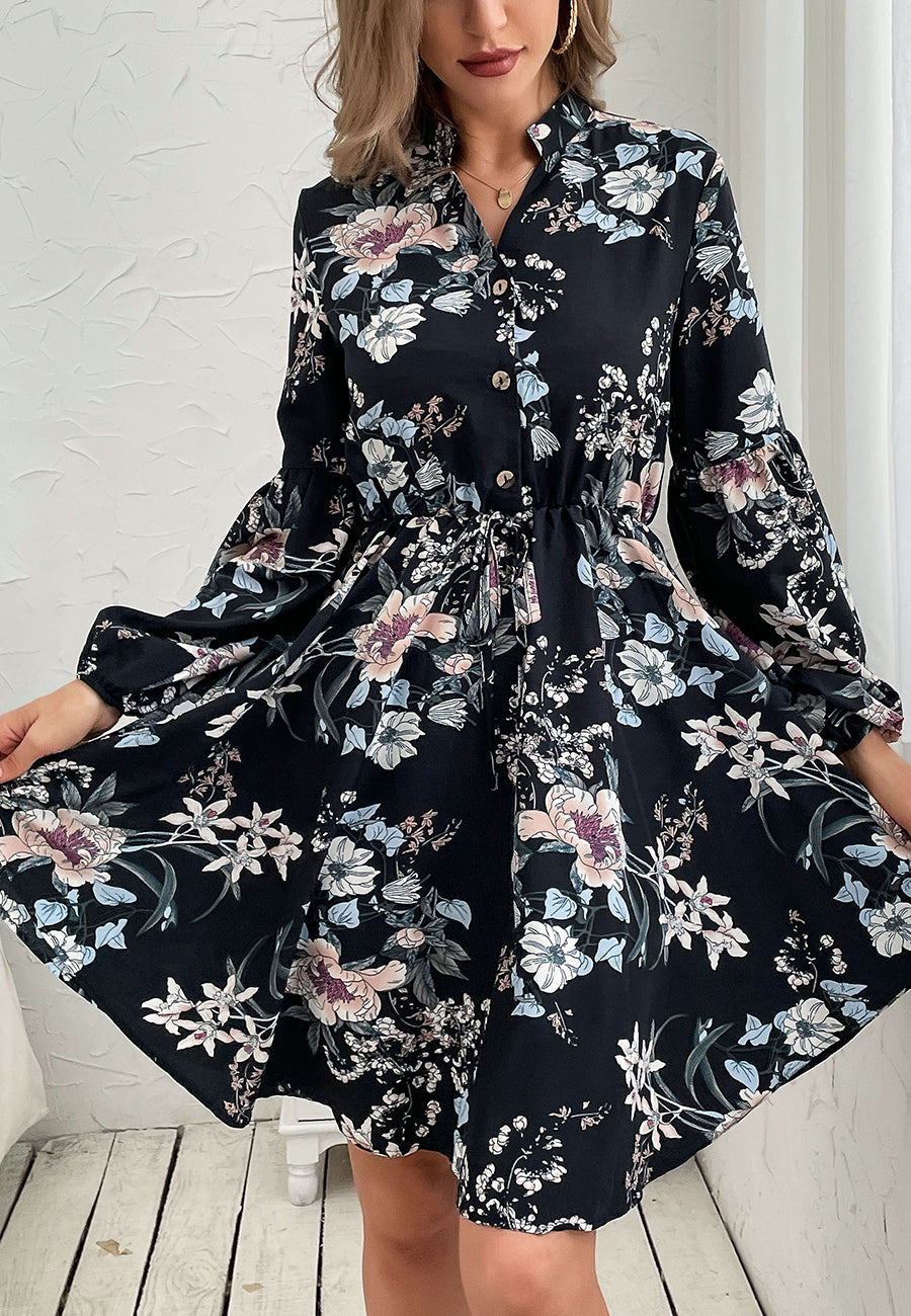 Printed Collared Retro Dress