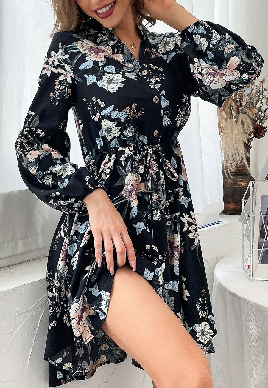 Printed Collared Retro Dress