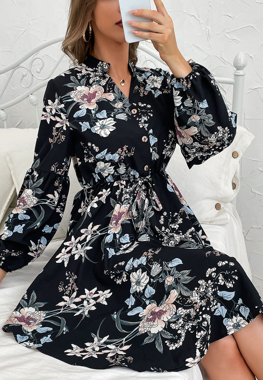 Printed Collared Retro Dress