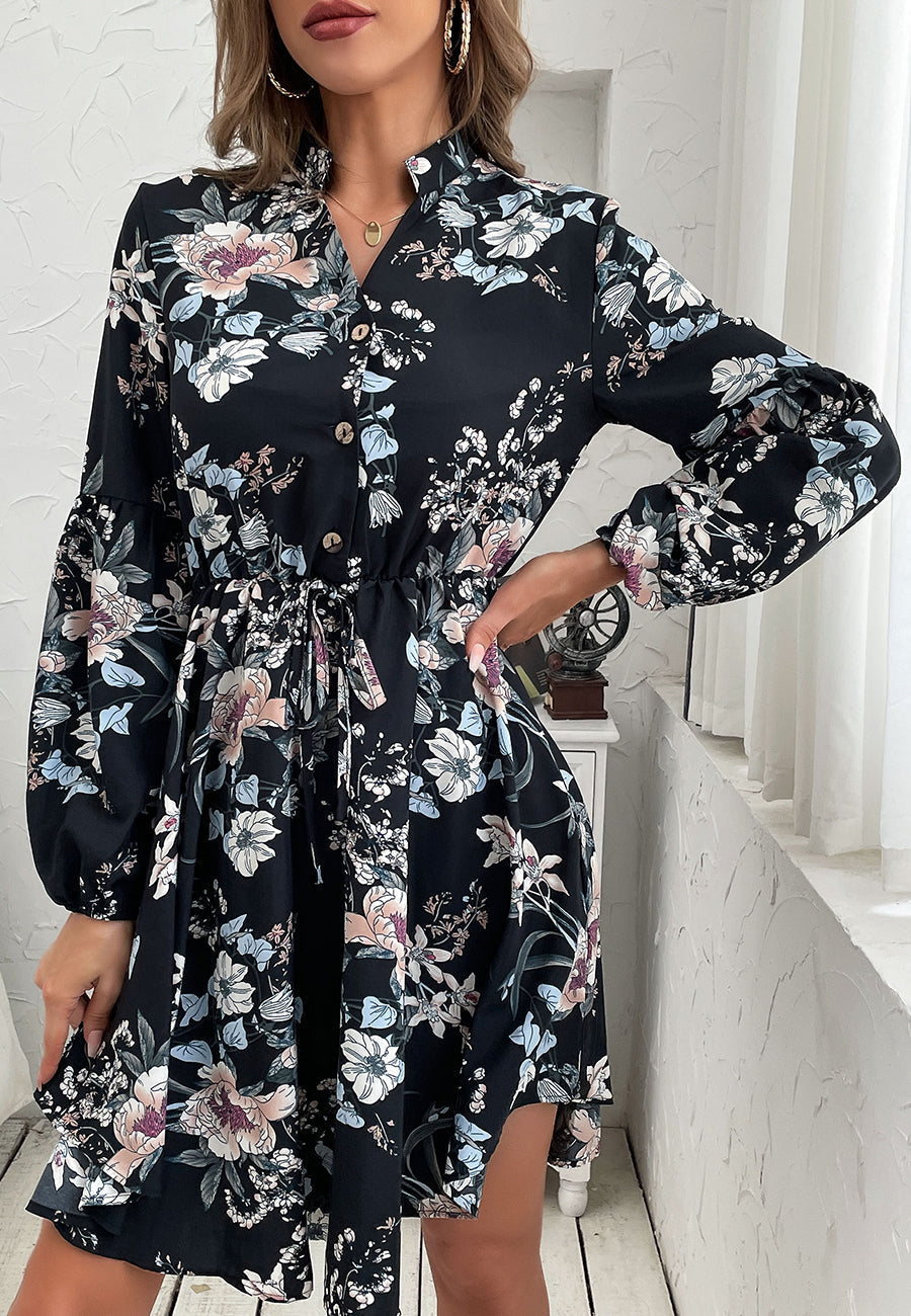 Printed Collared Retro Dress