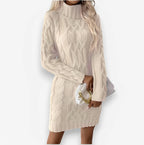 Knit Fitted Long Dress