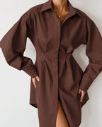 A-Line Balloon-Sleeve Collared Mini Dress