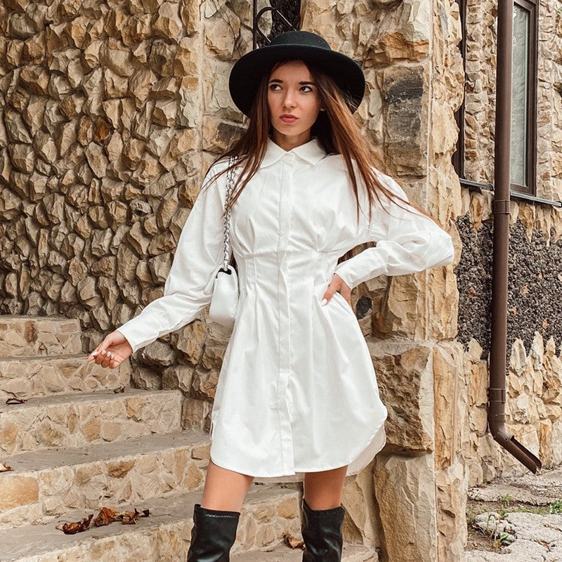 A-Line Balloon-Sleeve Collared Mini Dress