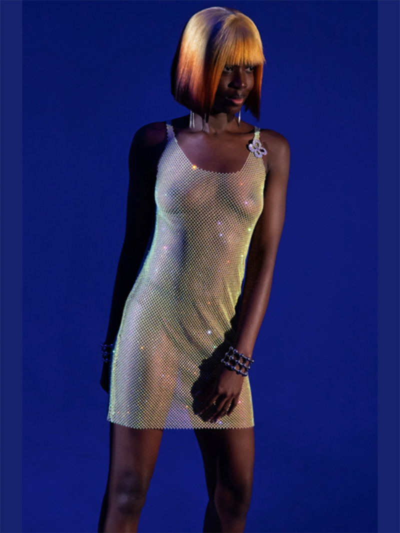 Glitter Sheer Mini Dress