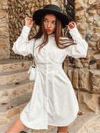 A-Line Balloon-Sleeve Collared Mini Dress