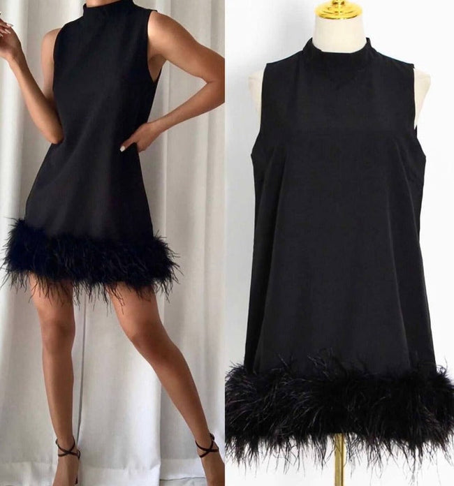 Crewneck A-Line Dress with Feather Details Main image