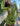 Collared Button-Detail Dress with Ruched Details Secondary image