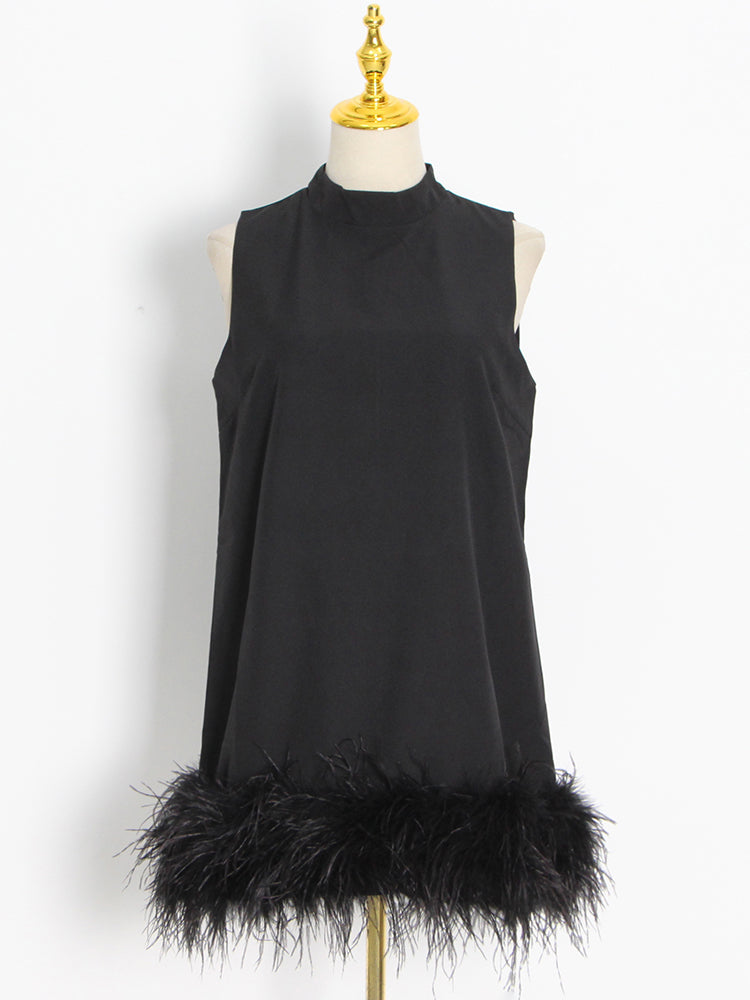 Crewneck A-Line Dress with Feather Details