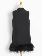 Crewneck A-Line Dress with Feather Details