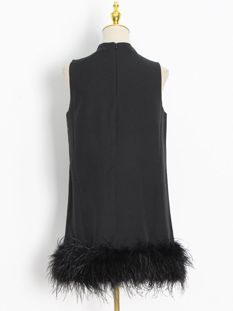 Crewneck A-Line Dress with Feather Details
