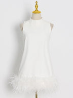 Crewneck A-Line Dress with Feather Details