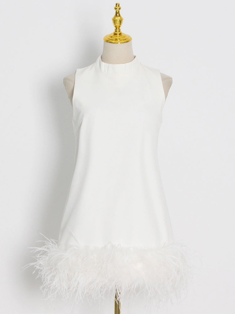 Crewneck A-Line Dress with Feather Details