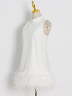 Crewneck A-Line Dress with Feather Details