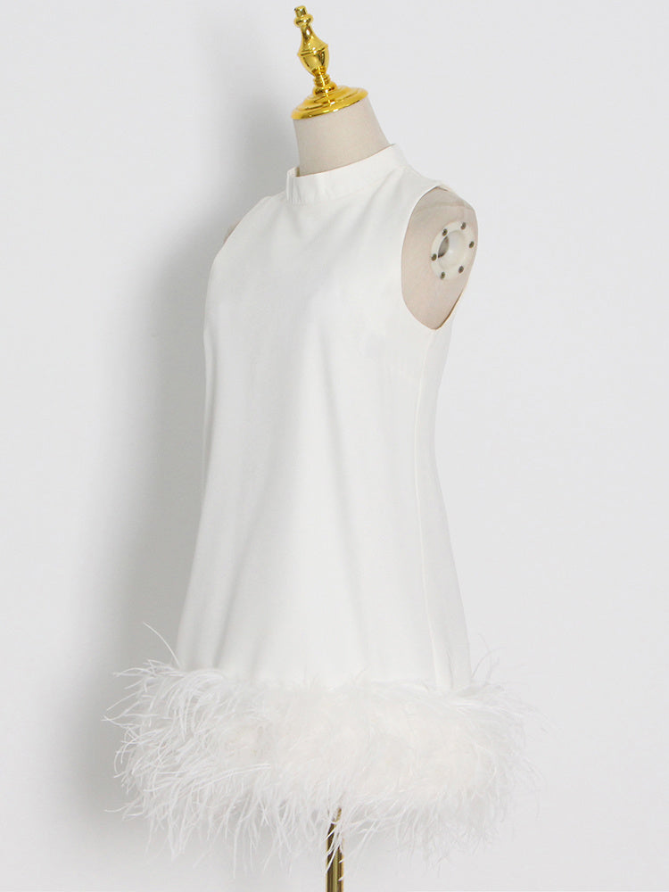 Crewneck A-Line Dress with Feather Details