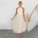 Mesh Sleeveless Dress with a Halter Neck