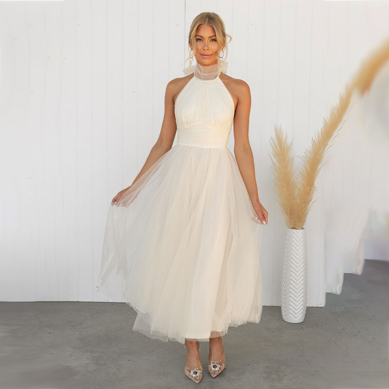 Mesh Sleeveless Dress with a Halter Neck
