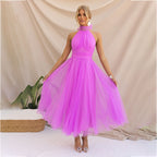 Mesh Sleeveless Dress with a Halter Neck