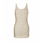 Glitter Sheer Mini Dress