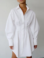 A-Line Balloon-Sleeve Collared Mini Dress