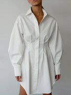 A-Line Balloon-Sleeve Collared Mini Dress